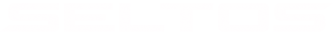 Seltos Logo
